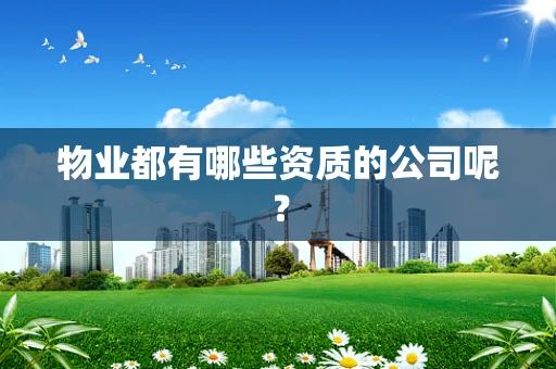 物业都有哪些资质的公司呢？