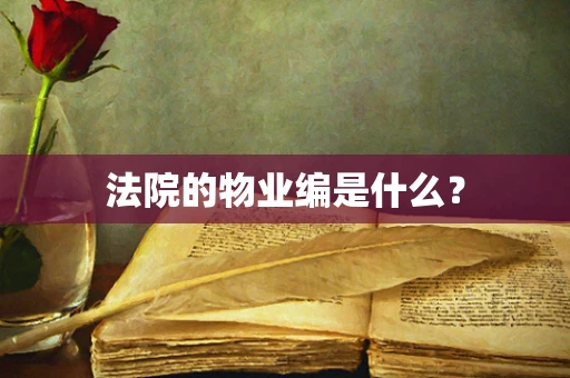法院的物业编是什么？