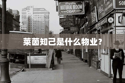 莱茵知己是什么物业？