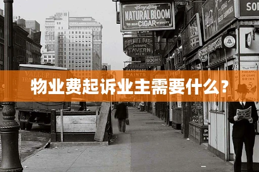 物业费起诉业主需要什么？
