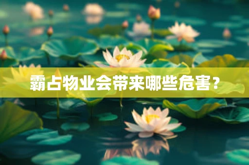 霸占物业会带来哪些危害？