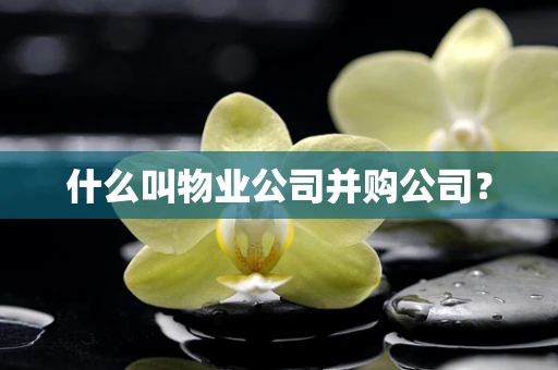 什么叫物业公司并购公司？