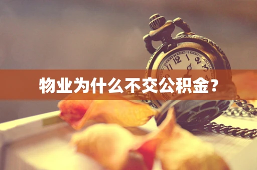 物业为什么不交公积金？