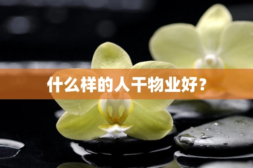什么样的人干物业好？