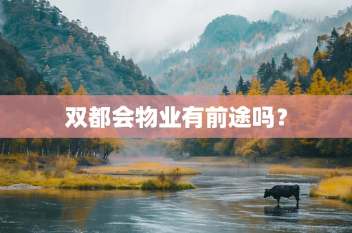 双都会物业有前途吗？