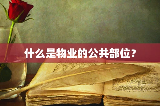什么是物业的公共部位？