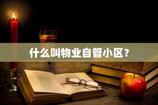 什么叫物业自管小区？