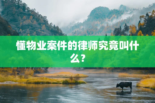 懂物业案件的律师究竟叫什么？