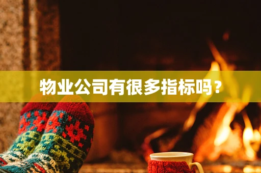 物业公司有很多指标吗？