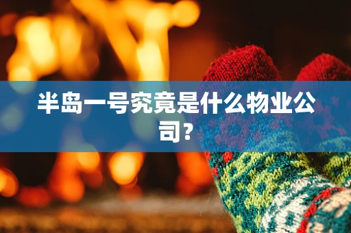半岛一号究竟是什么物业公司？