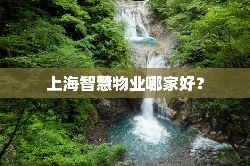 上海智慧物业哪家好？