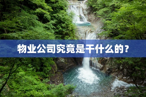 物业公司究竟是干什么的？