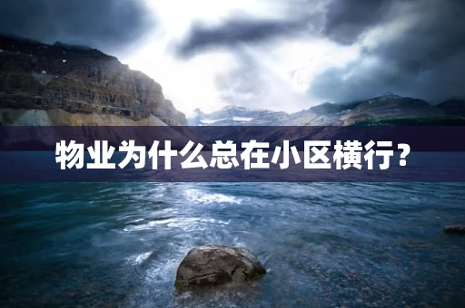 物业为什么总在小区横行？