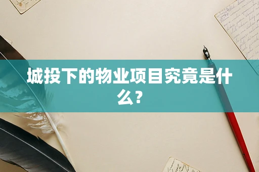城投下的物业项目究竟是什么？