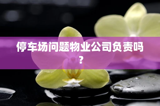 停车场问题物业公司负责吗？