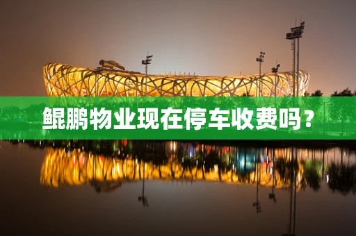 鲲鹏物业现在停车收费吗？