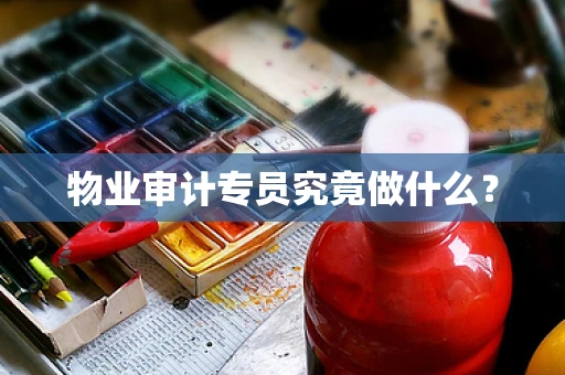 物业审计专员究竟做什么？