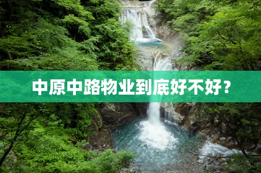 中原中路物业到底好不好？