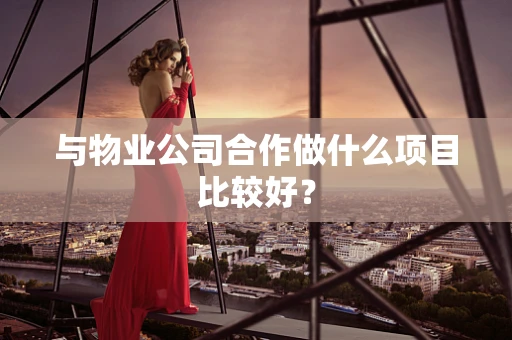 与物业公司合作做什么项目比较好？