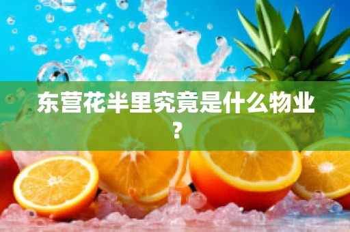 东营花半里究竟是什么物业？