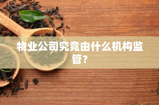 物业公司究竟由什么机构监管？