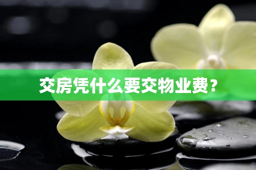 交房凭什么要交物业费？