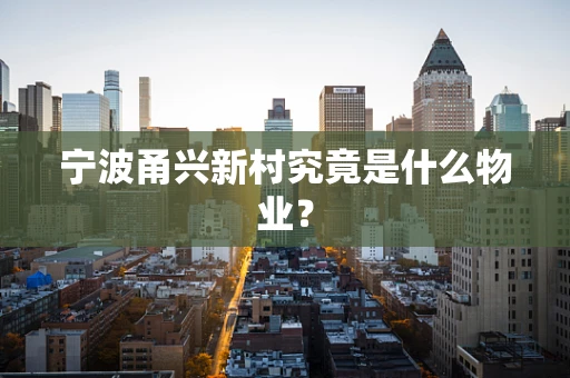 宁波甬兴新村究竟是什么物业？