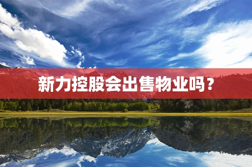 新力控股会出售物业吗？