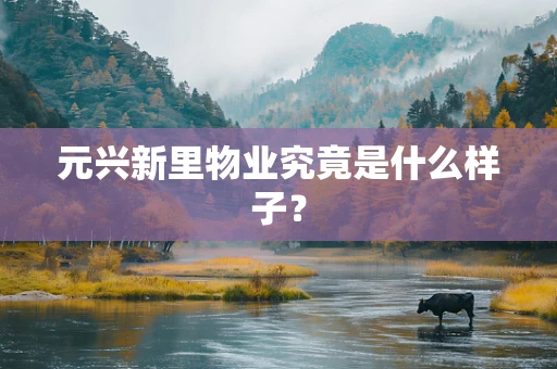 元兴新里物业究竟是什么样子？