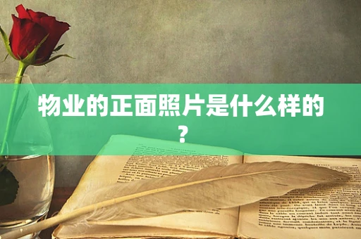 物业的正面照片是什么样的？