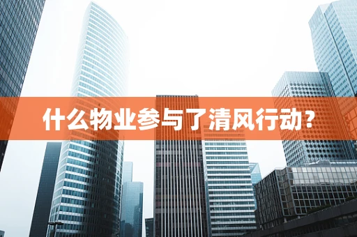 什么物业参与了清风行动？