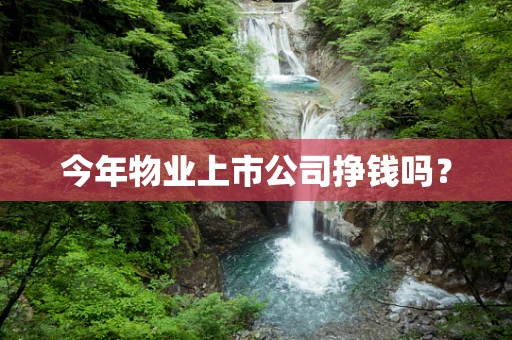 今年物业上市公司挣钱吗？