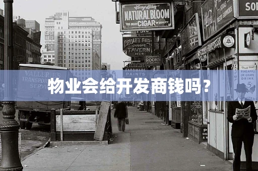物业会给开发商钱吗？