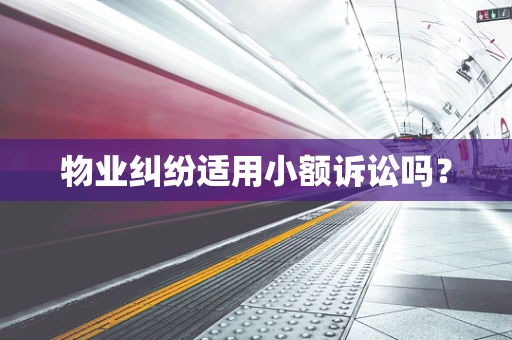 物业纠纷适用小额诉讼吗？