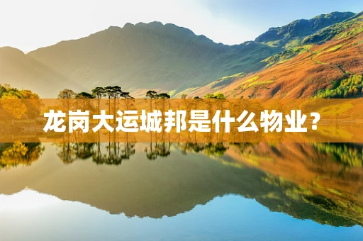 龙岗大运城邦是什么物业？