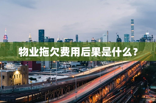 物业拖欠费用后果是什么？