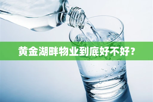 黄金湖畔物业到底好不好？