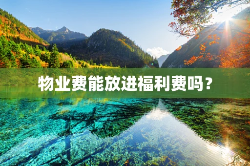 物业费能放进福利费吗？