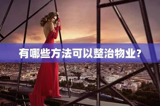有哪些方法可以整治物业？