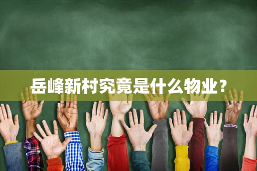 岳峰新村究竟是什么物业？