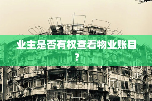 业主是否有权查看物业账目？