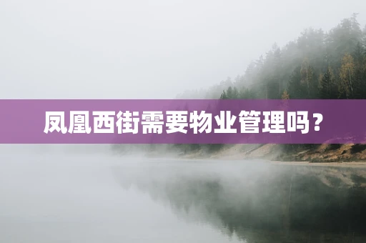 凤凰西街需要物业管理吗？