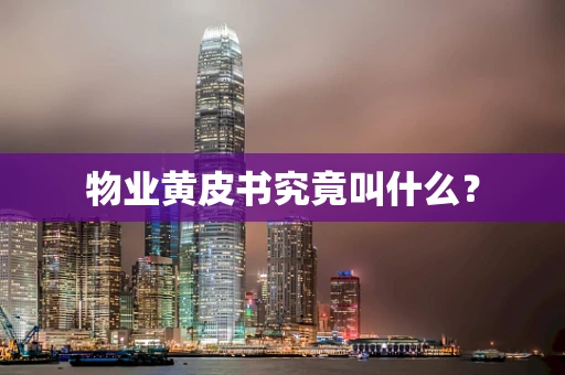 物业黄皮书究竟叫什么？