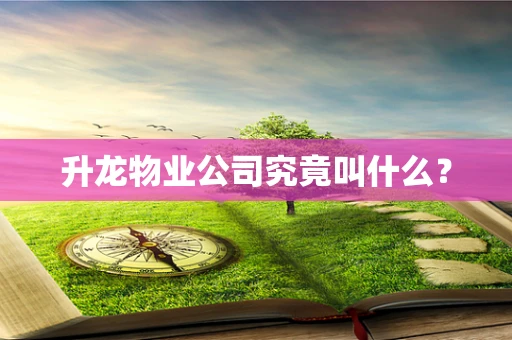 升龙物业公司究竟叫什么？