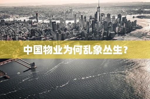 中国物业为何乱象丛生？