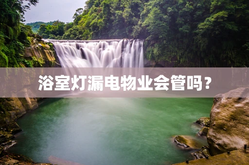 浴室灯漏电物业会管吗？