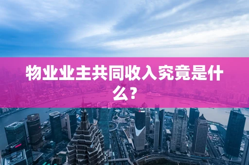 物业业主共同收入究竟是什么？