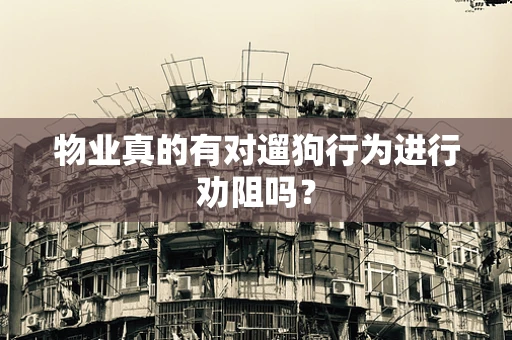 物业真的有对遛狗行为进行劝阻吗？