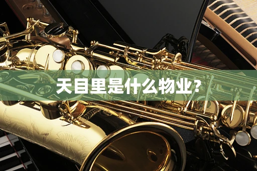 天目里是什么物业？