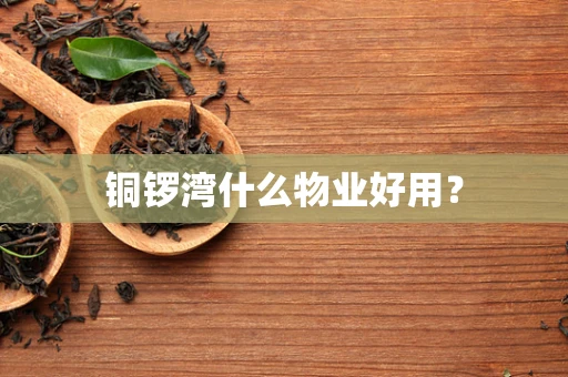 铜锣湾什么物业好用？
